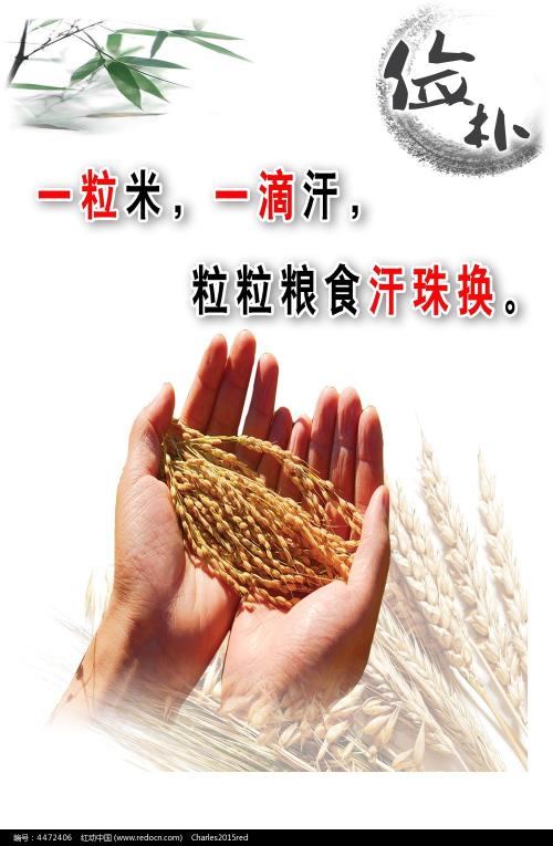 鲍曼莫斯科国立技术大学diploma购买